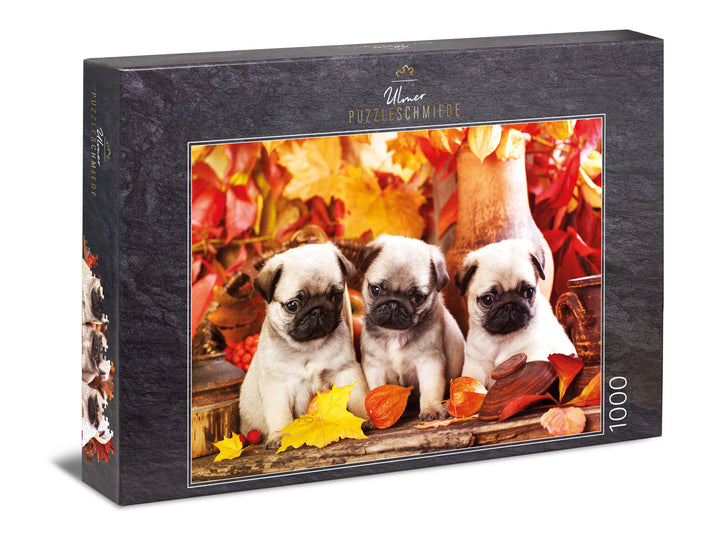 Puzzle 1000 Pieces "Puppy Happiness"