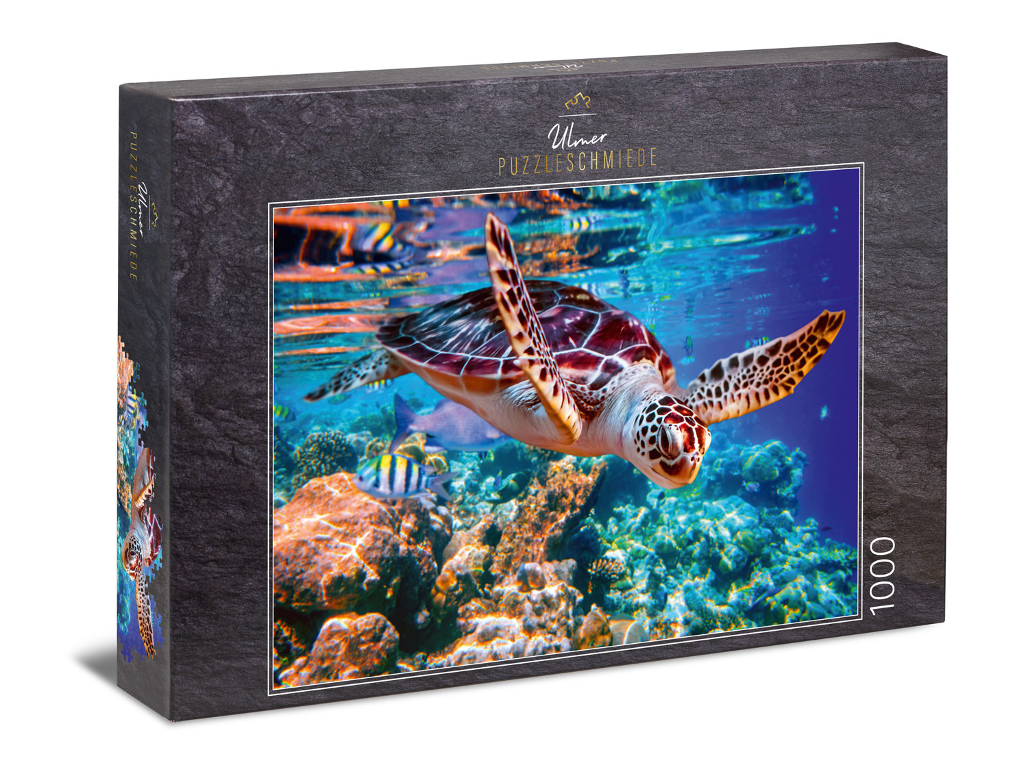 Takfot 1000 Teile Puzzle – Ozean Mit Meeresschildkröte & Korallen, 70 X 52 Cm, Inkl. Poster