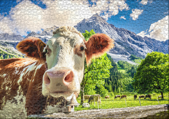 Puzzle 2000 pieces "Dream Cow Lisse"