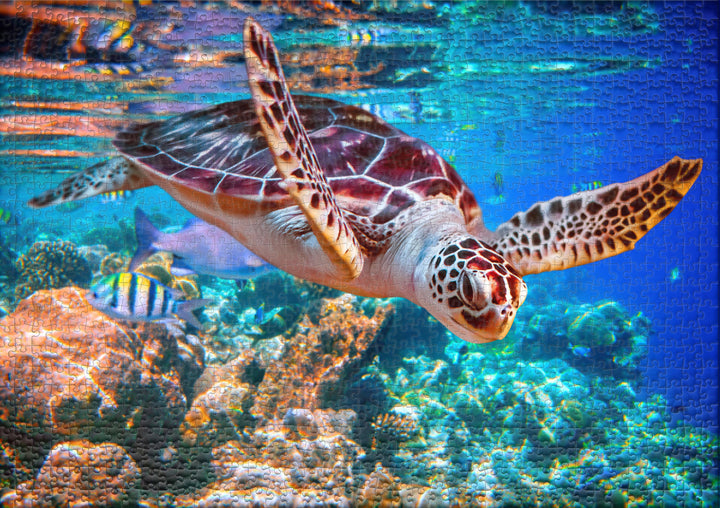 2000 Piece Puzzle "Sea Turtle"