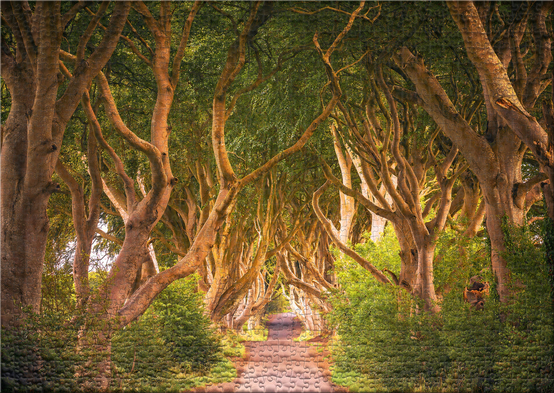 1000 Teile Puzzle "The Dark Hedges"