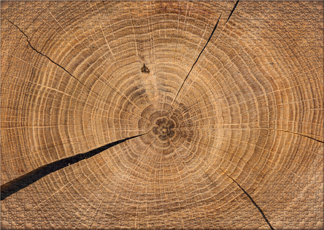1000 Teile Impossible Puzzle "Holzchronik"