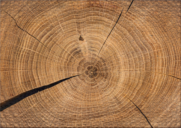 1000 Teile Impossible Puzzle "Holzchronik"