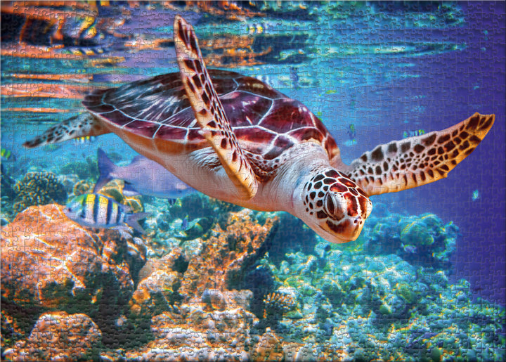 Puzzle 500 Pieces "Sea Turtle"