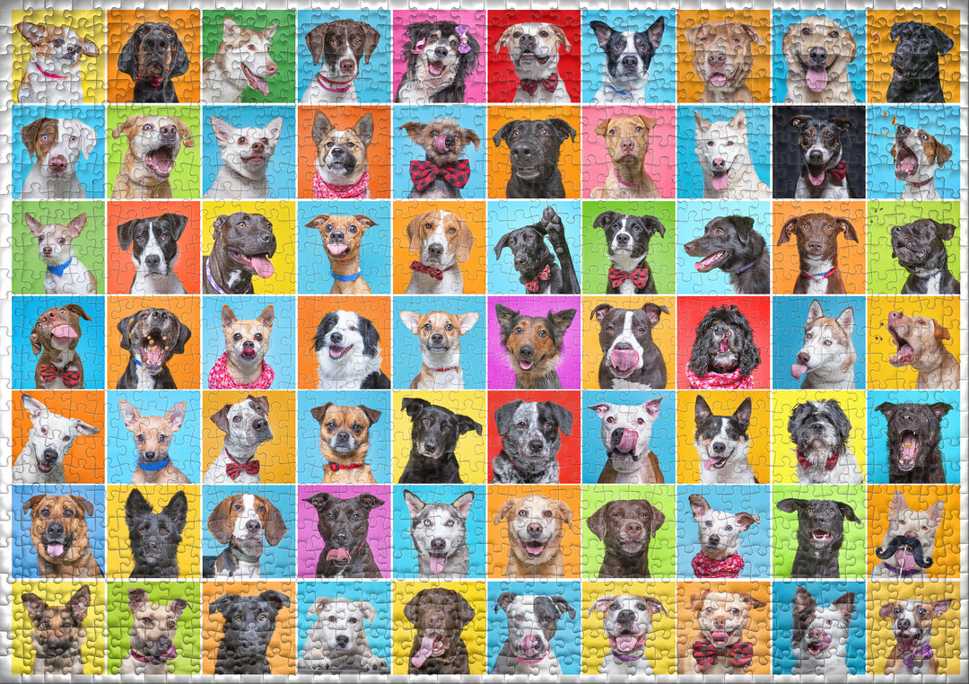 Puzzle 1000 Teile "Bunter Hund" - Collage