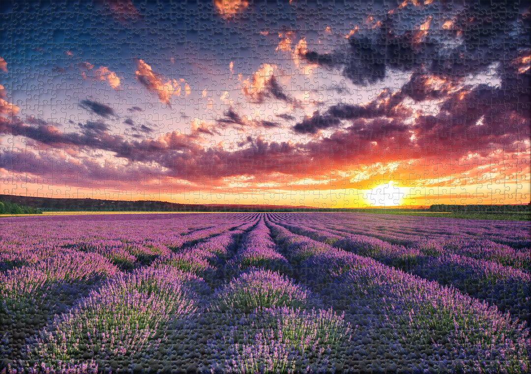 Puzzle 1000 Teile "Lavendelblüten" - Sonnenuntergang Provence