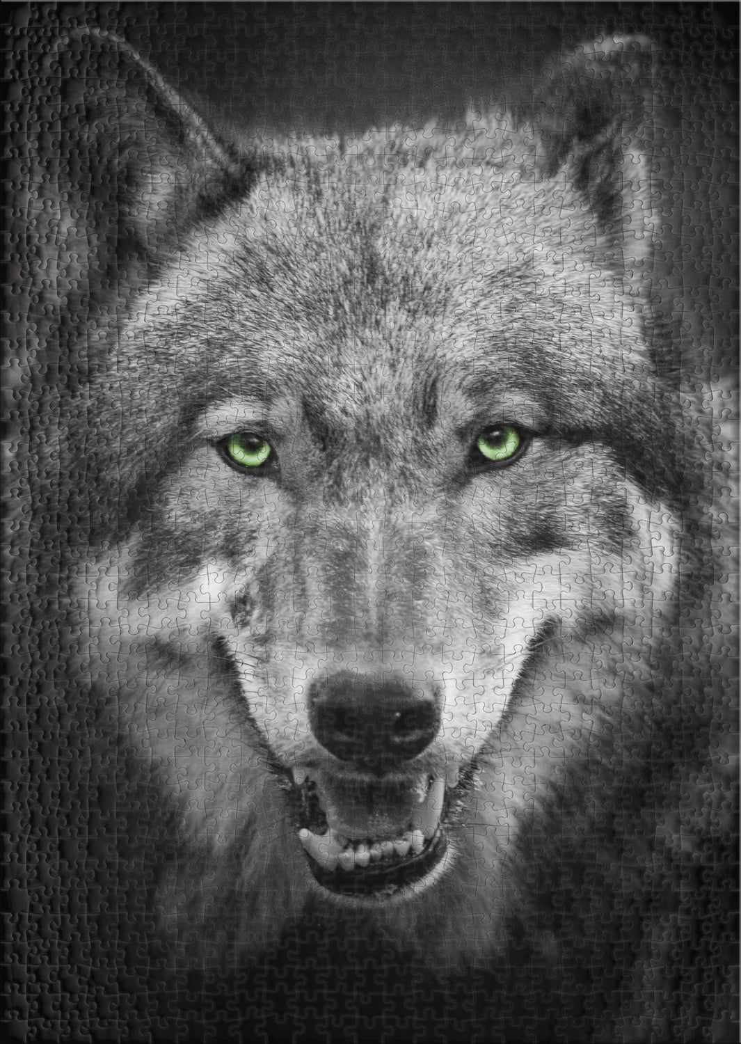 Puzzle 1000 Teile "Canis Lupus" - Tierportrait Wolf