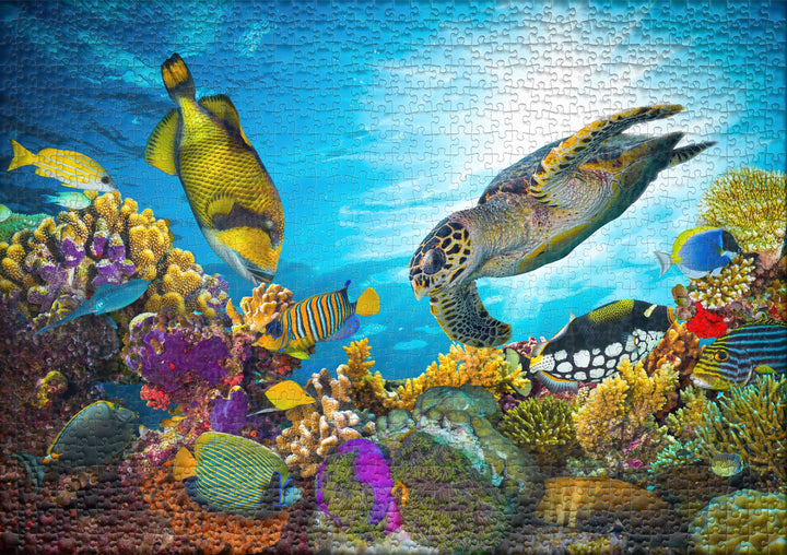 Puzzle 1000 Teile "Farben-Meer"