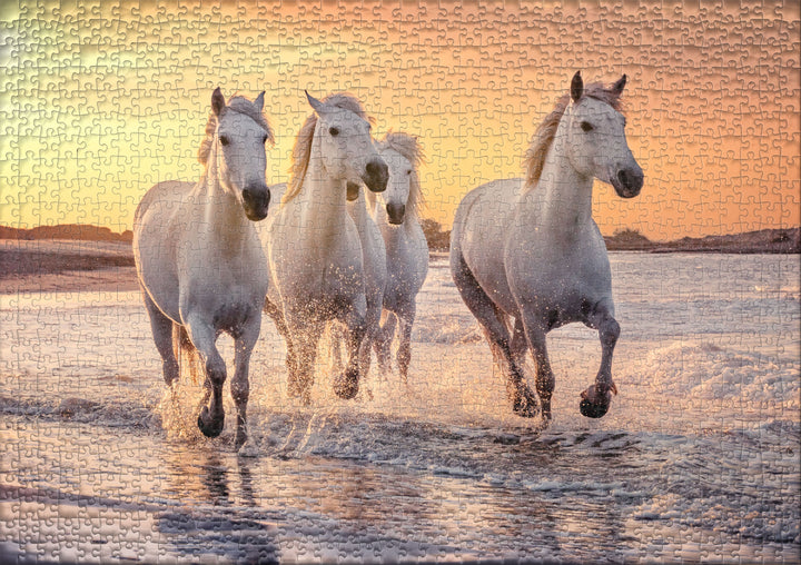 Pferde-Puzzle 1000 Teile "Camargue-Pferde"