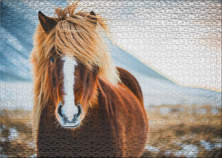 Puzzle 1000 Teile "Fräulein Winterhaar"