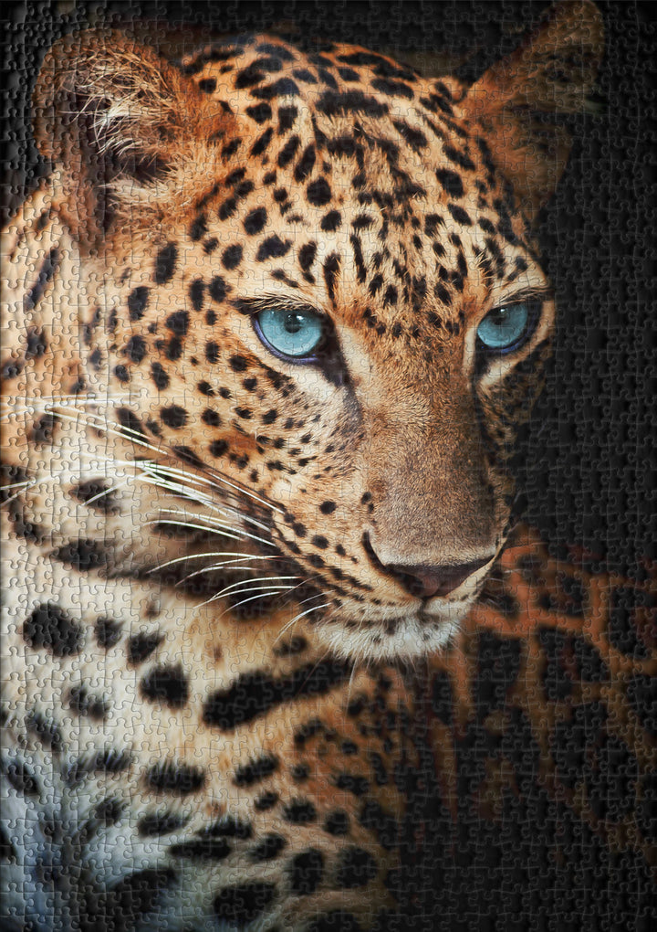 Puzzle 1000 Teile "Leopard"