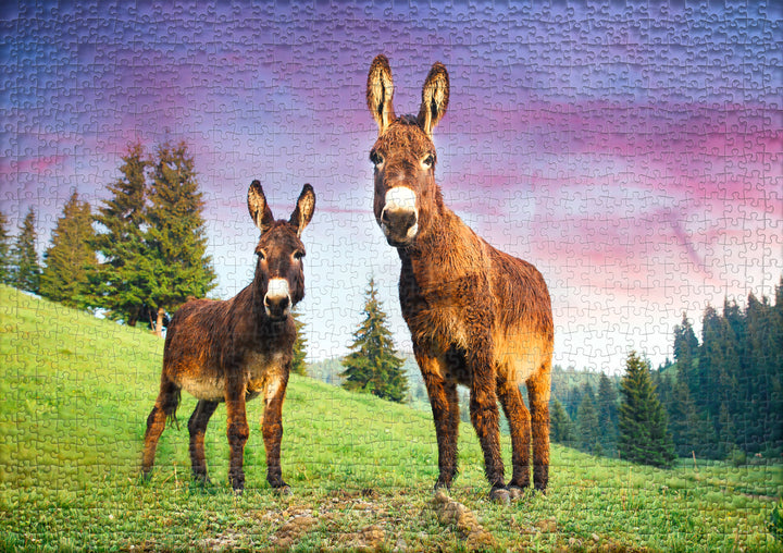 Puzzle 1000 Teile "Alm-Esel" - Esel in den Alpen