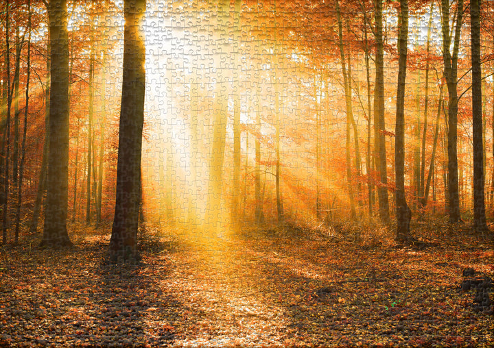 Puzzle 1000 Teile "Goldener Herbstwald"