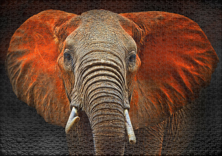 Puzzle 1000 Teile "Tsavo-Elefant"