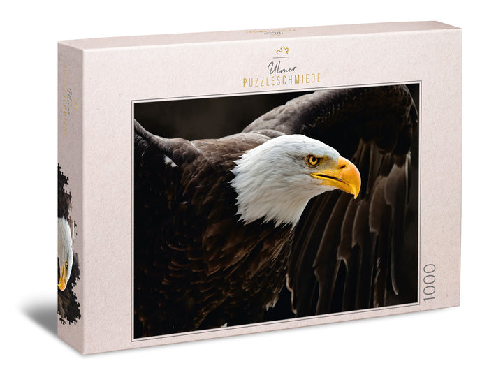 Puzzle 1000 Teile "Der Seeadler"