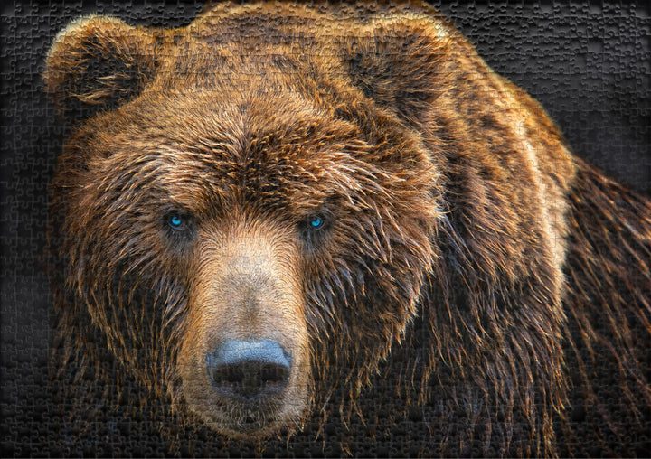 Puzzle 1000 Teile "Grizzly"