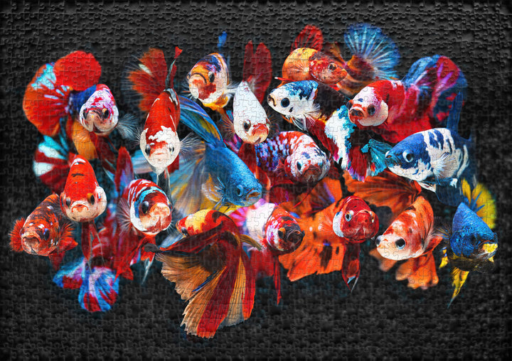 Puzzle 1000 Teile "Koi"