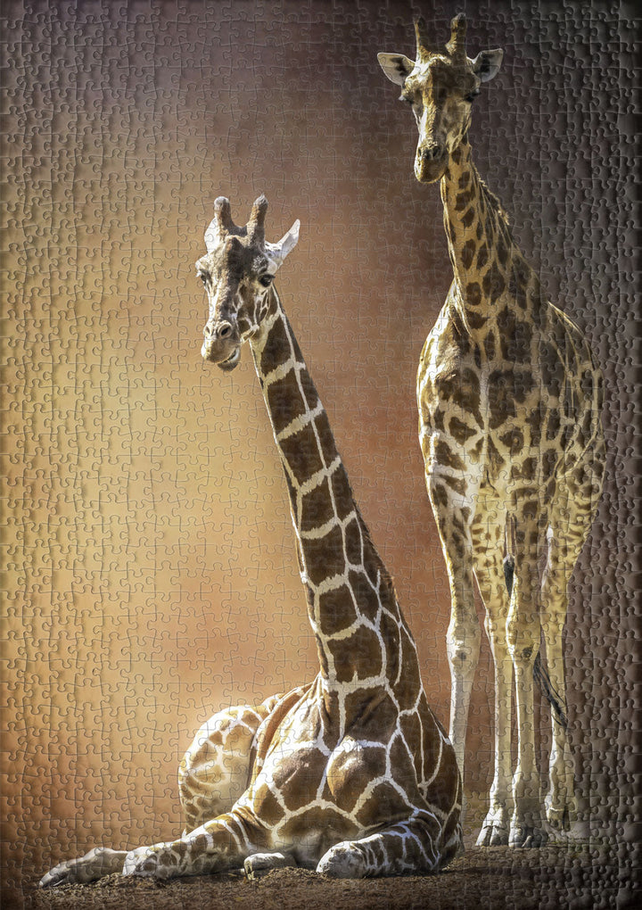 Puzzle 1000 Teile "Giraffen-Liebe"