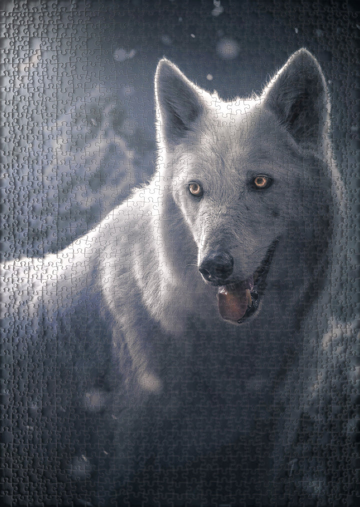 Puzzle 1000 Teile "Tundra Wolf"