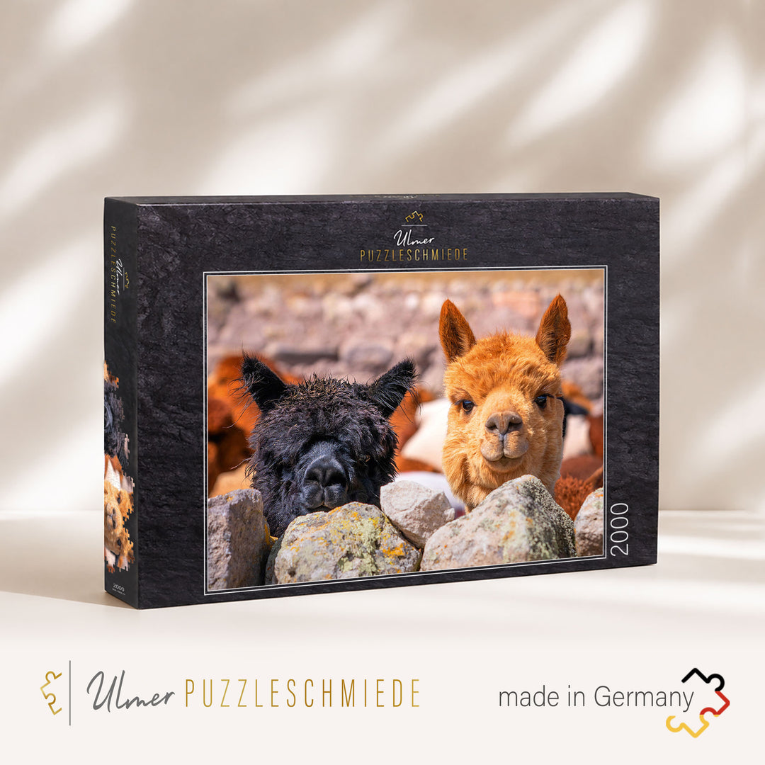 Puzzle 2000 Teile "Alpaka"