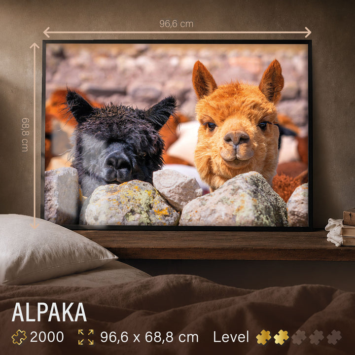 Puzzle 2000 Teile "Alpaka"