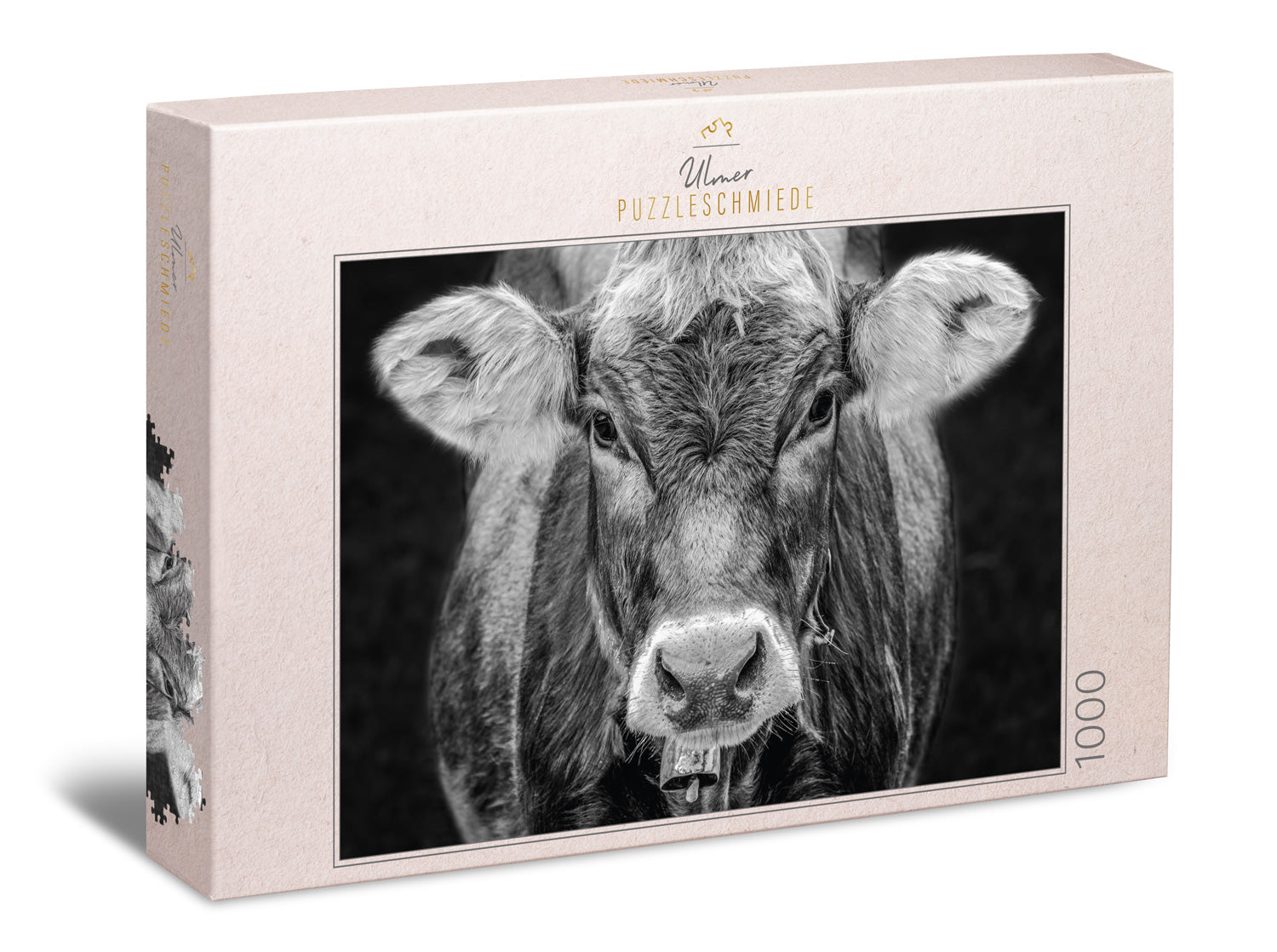 Hansepuzzle Highland-Rind Puzzle 1000 Teile - Premium Tierwelt Motiv, 60x46 Cm, Mit Aufbewahrungsbox & Wiederverschließbarem Beutel