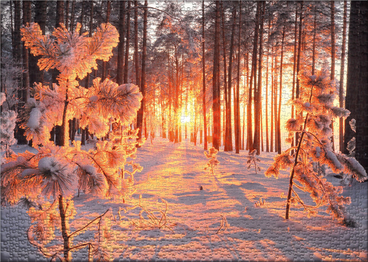 Puzzle 2000 Teile "Wintersonne"