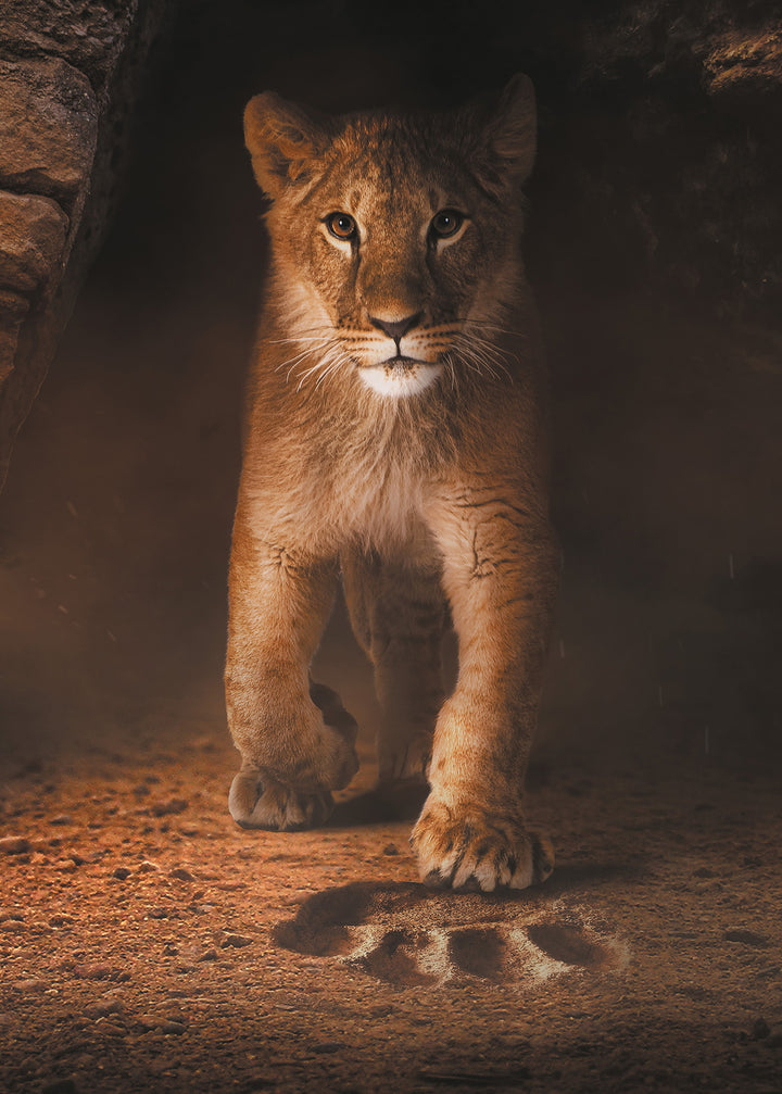 Puzzle 2000 Teile "Simba"