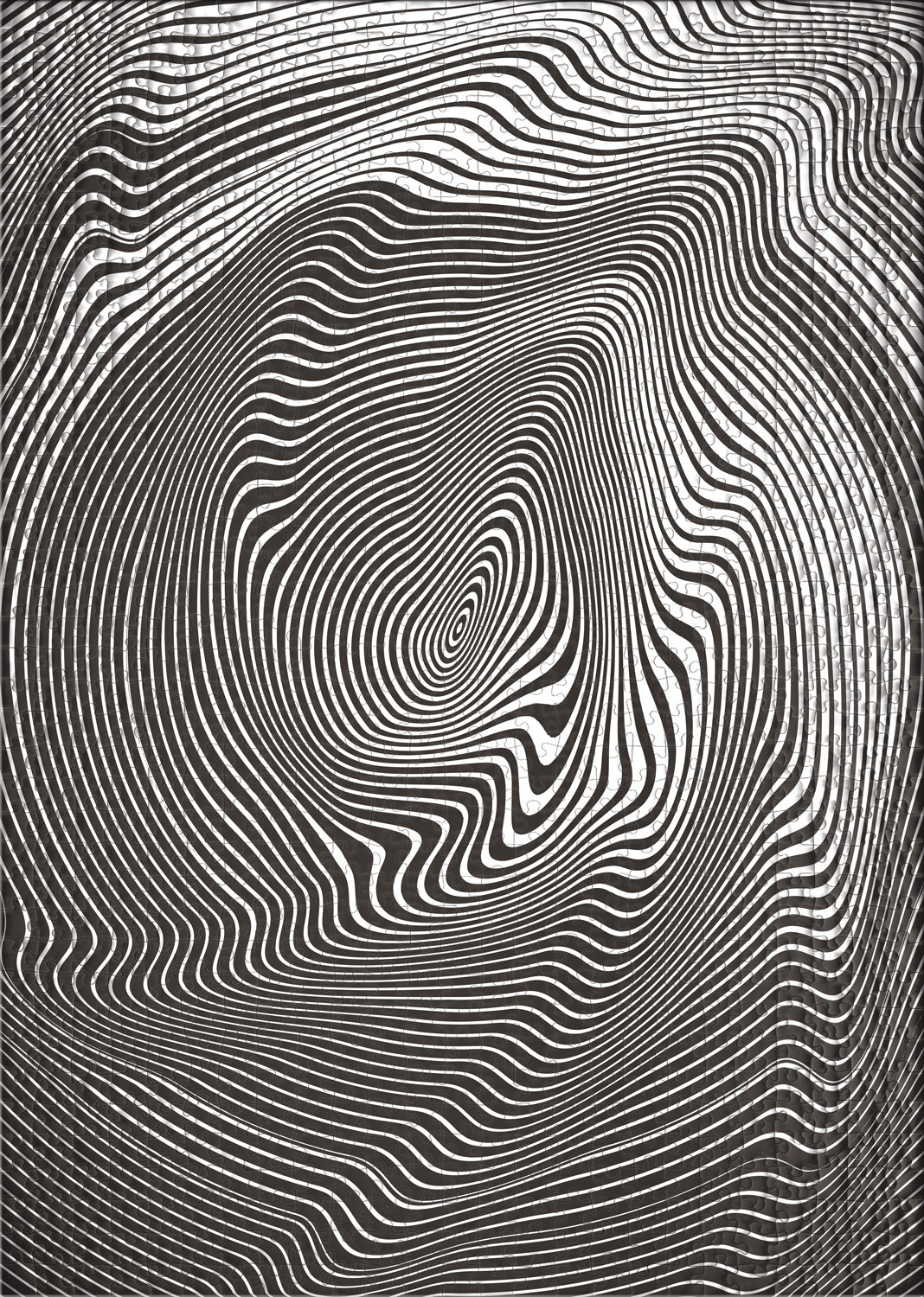 Impossible-Puzzle 2000 Teile "Irrwitz"