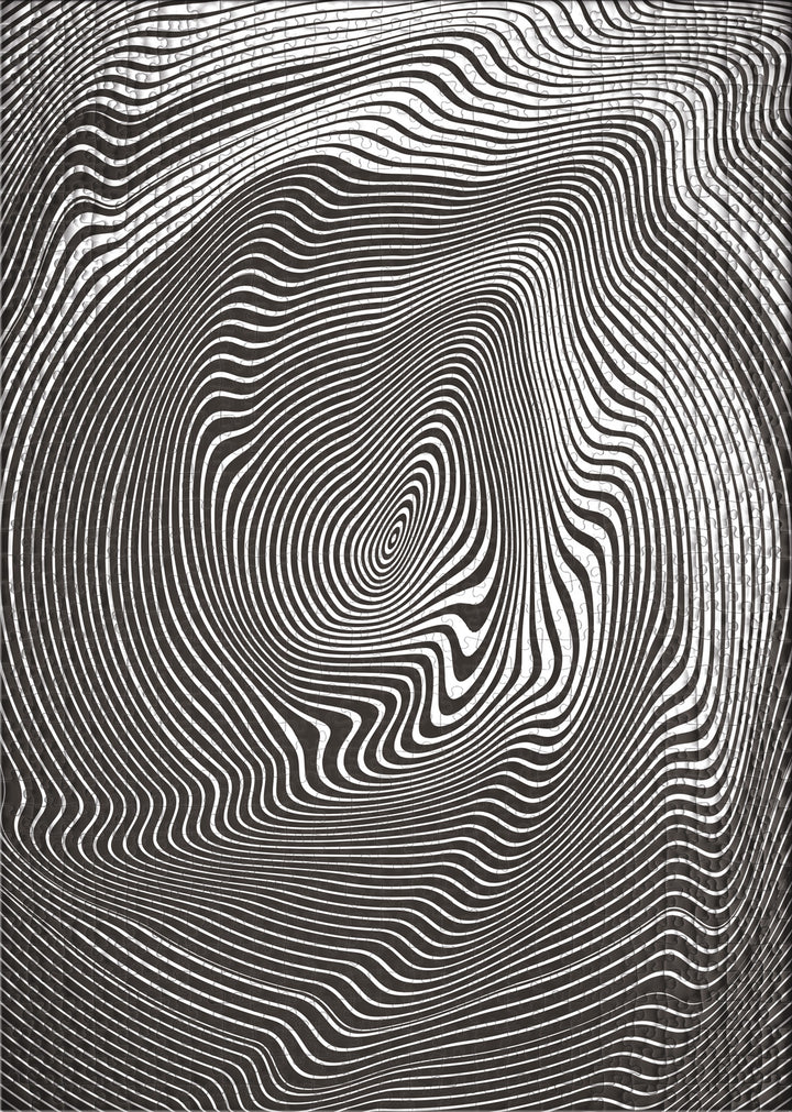 Impossible-Puzzle 2000 Teile "Irrwitz"