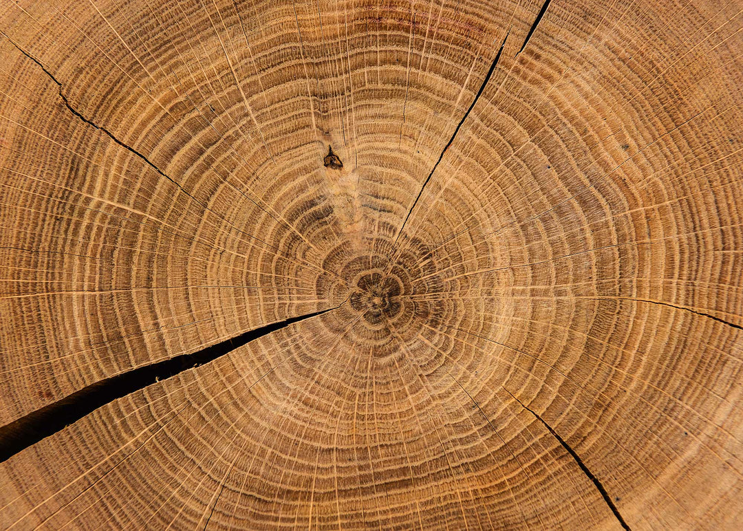 Impossible Puzzle 2000 Teile "Holzchronik"